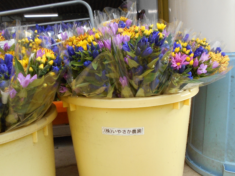 りんどう（竜胆）とは